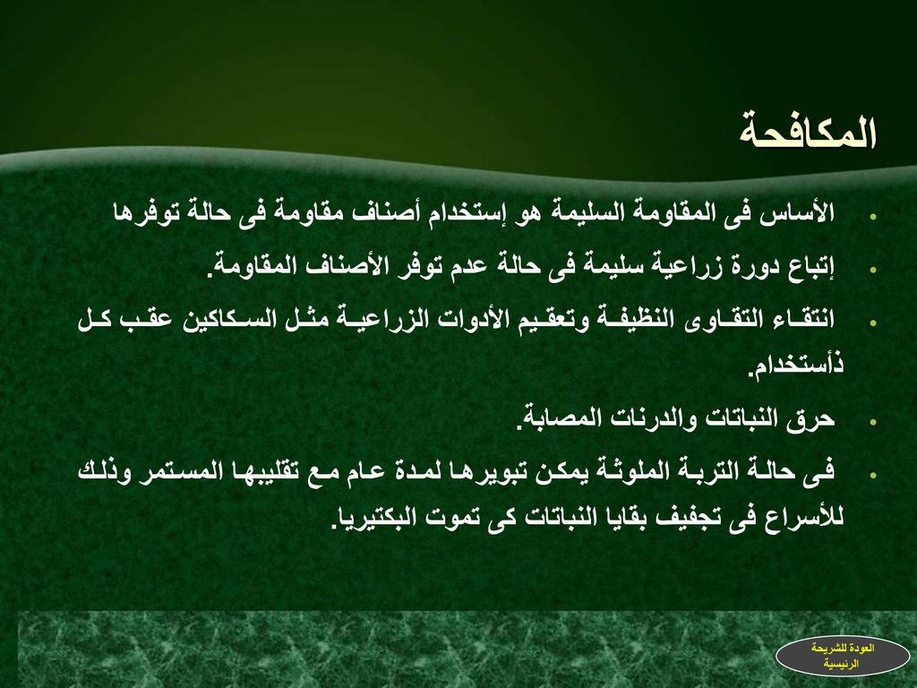 المكافحة الأساس فى المقاومة السليمة هو إستخدام أصناف مقاومة فى حالة توفرها. إتباع دورة زراعية سليمة فى حالة عدم توفر الأصناف المقاومة.