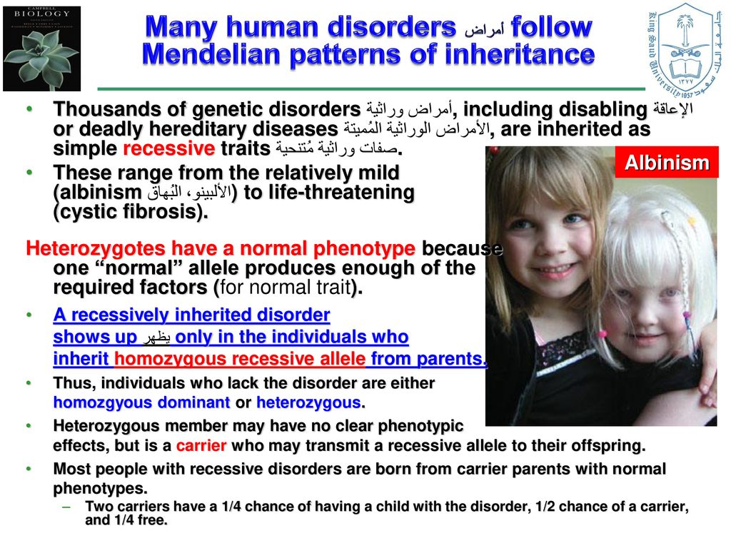 Mendelian Inheritance in Humans ppt تنزيل