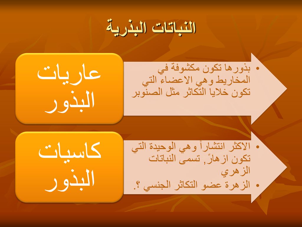 نوع التكاثر في النباتات البذرية