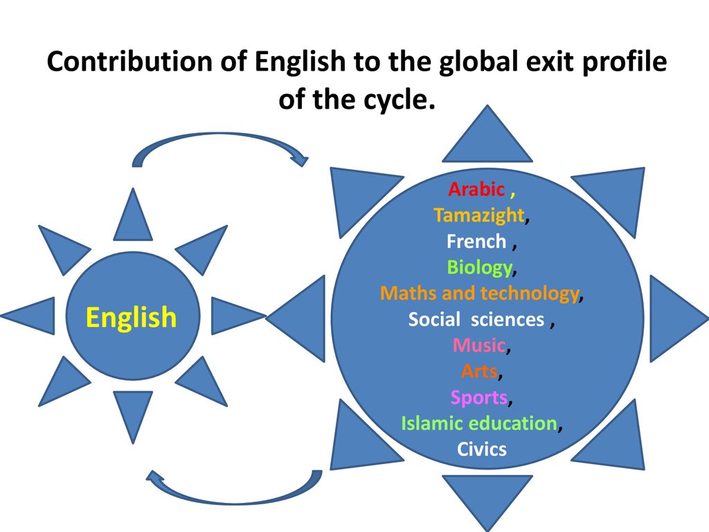 Contribution of English to the global exit profile of the cycle.