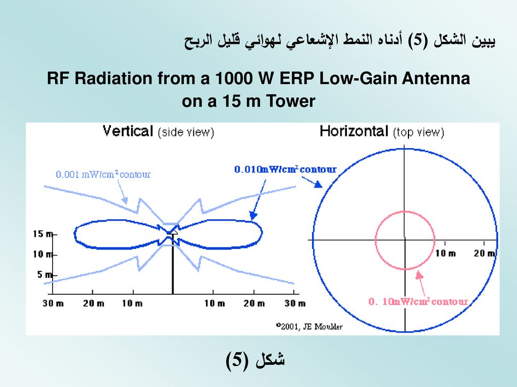 RF Radiation from a 1000 W ERP Low-Gain Antenna on a 15 m Tower