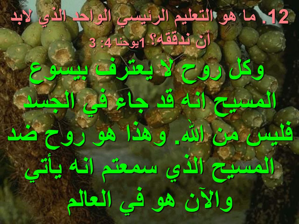 12. ما هو التعليم الرئيسي الواحد الذي لابد أن ندققه؟ 1يوحنا 4: 3