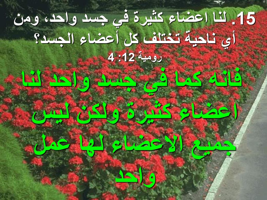 15. لنا اعضاء كثيرة في جسد واحد، ومن أي ناحية تختلف كل أعضاء الجسد؟
