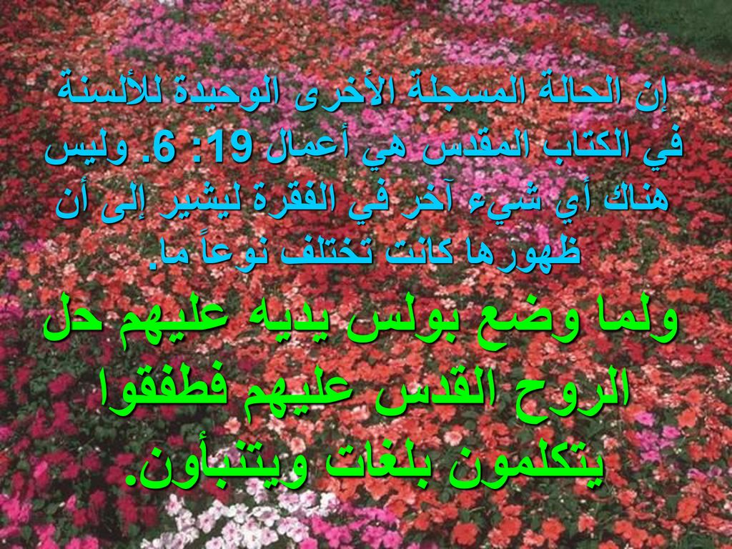 إن الحالة المسجلة الأخرى الوحيدة للألسنة في الكتاب المقدس هي أعمال 19: 6. وليس هناك أي شيء آخر في الفقرة ليشير إلى أن ظهورها كانت تختلف نوعاً ما.