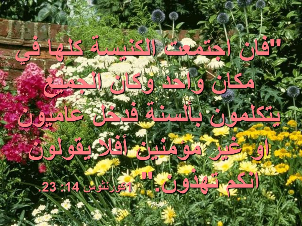 فان اجتمعت الكنيسة كلها في مكان واحد وكان الجميع يتكلمون بألسنة فدخل عاميون او غير مؤمنين أفلا يقولون انكم تهذون. 1كورنثوس 14: 23.