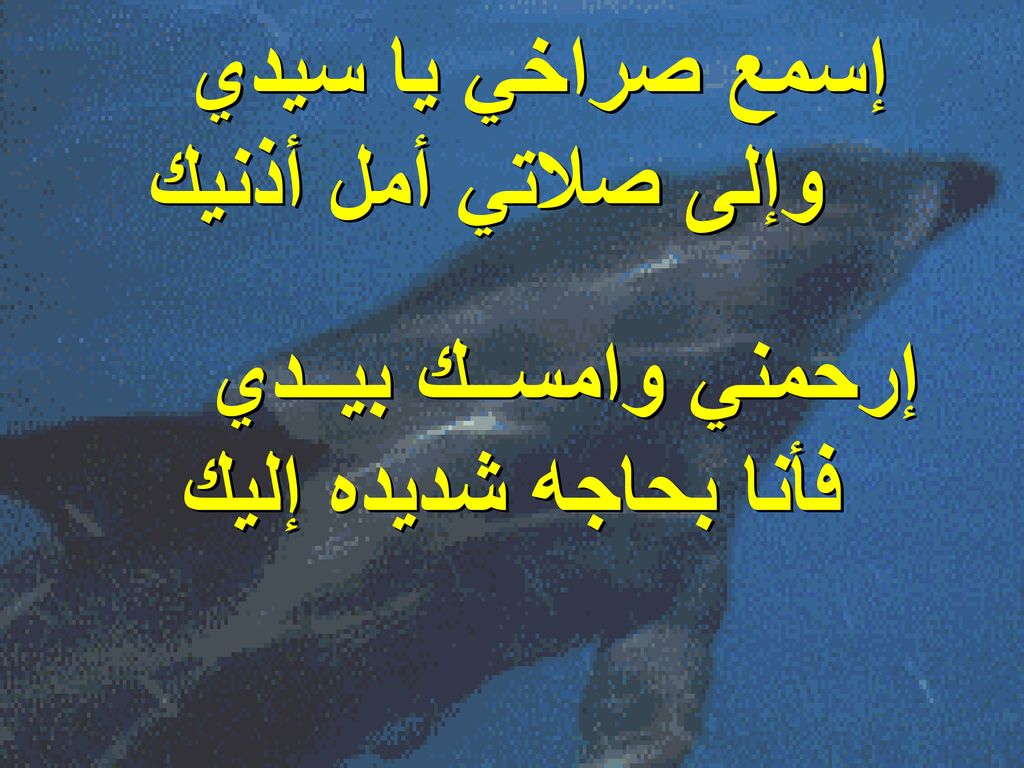 إسمع صراخي يا سيدي وإلى صلاتي أمل أذنيك إرحمني وامســك بيــدي فأنا بحاجه شديده إليك