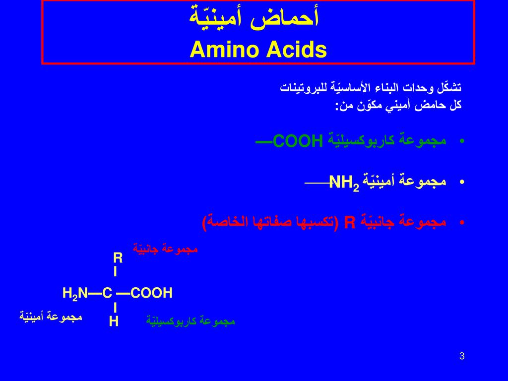 أحماض أمينيّة Amino Acids