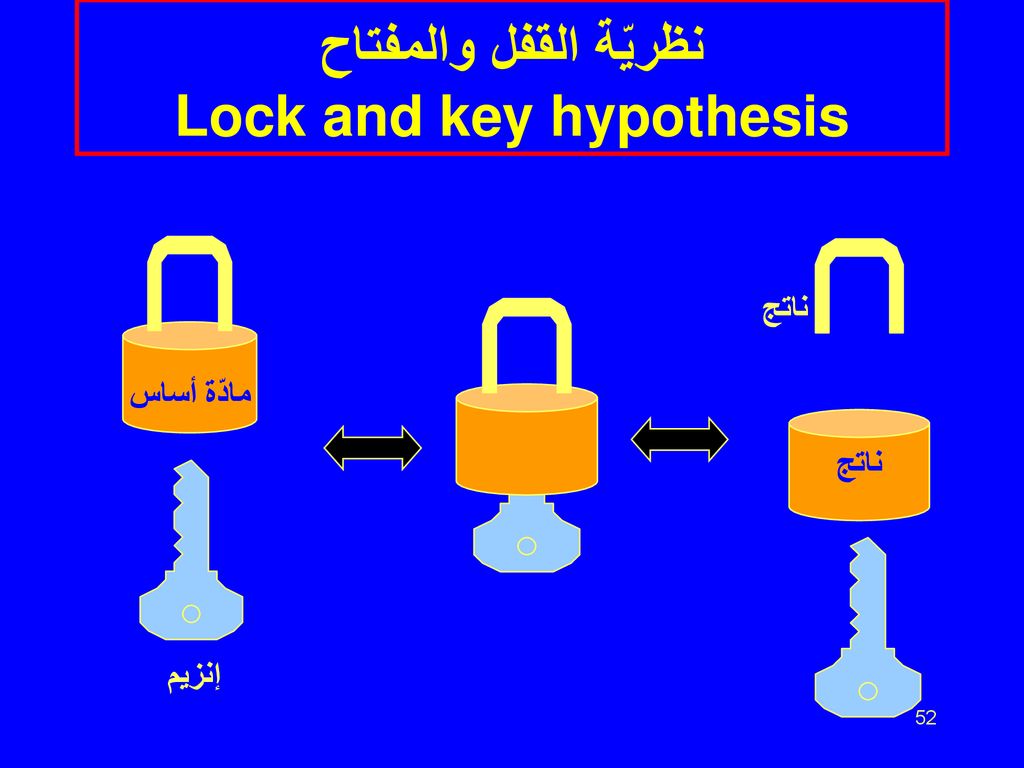 نظريّة القفل والمفتاح Lock and key hypothesis