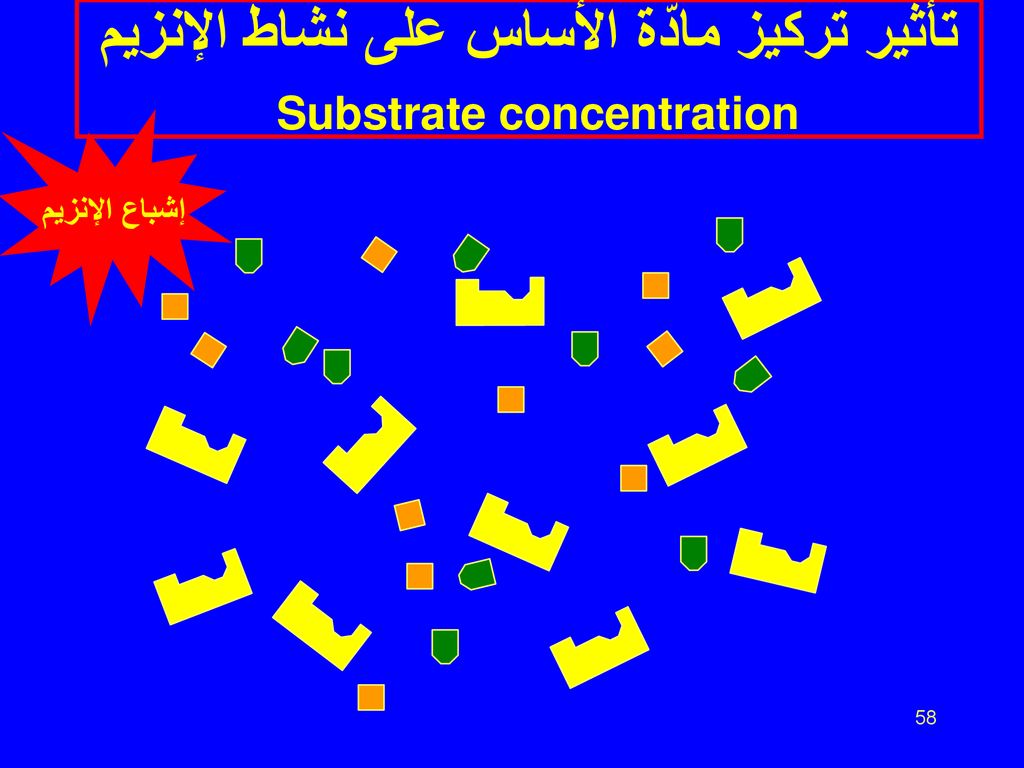 تأثير تركيز مادّة الأساس على نشاط الإنزيم Substrate concentration