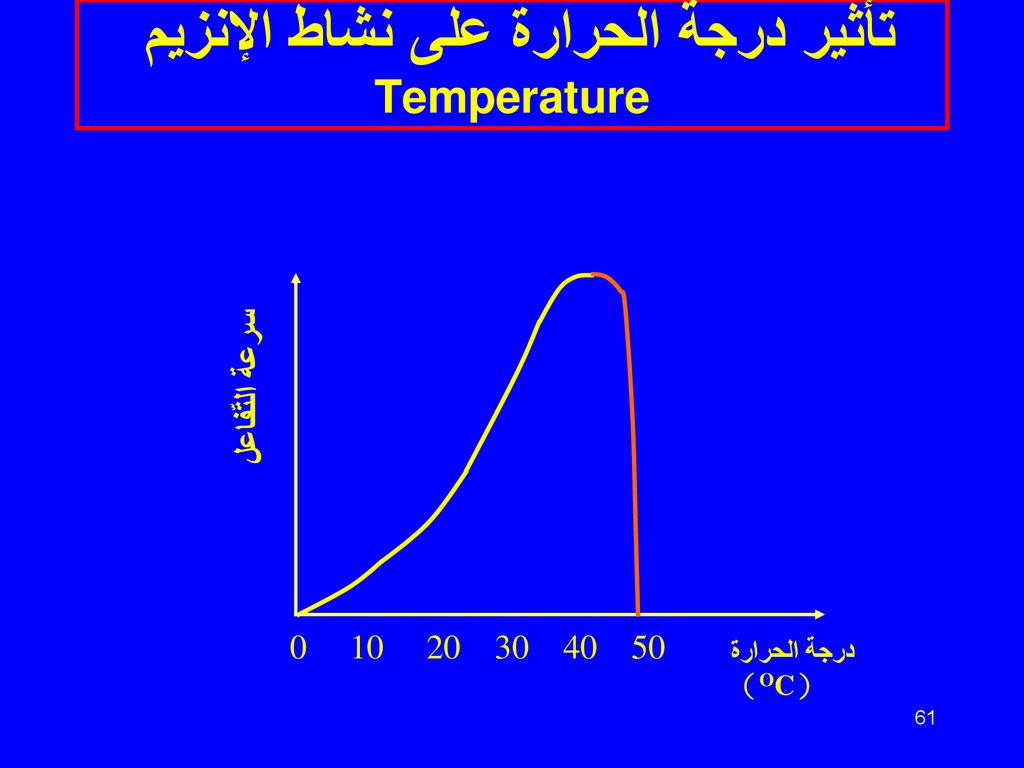 تأثير درجة الحرارة على نشاط الإنزيم Temperature