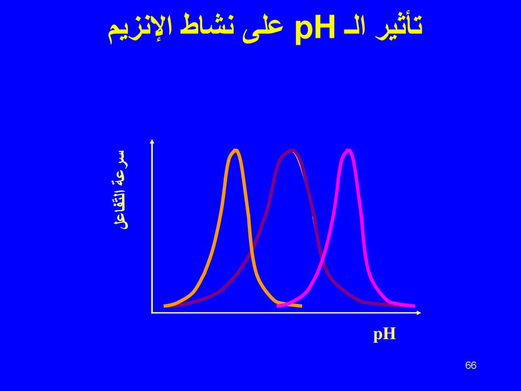تأثير الـ pH على نشاط الإنزيم