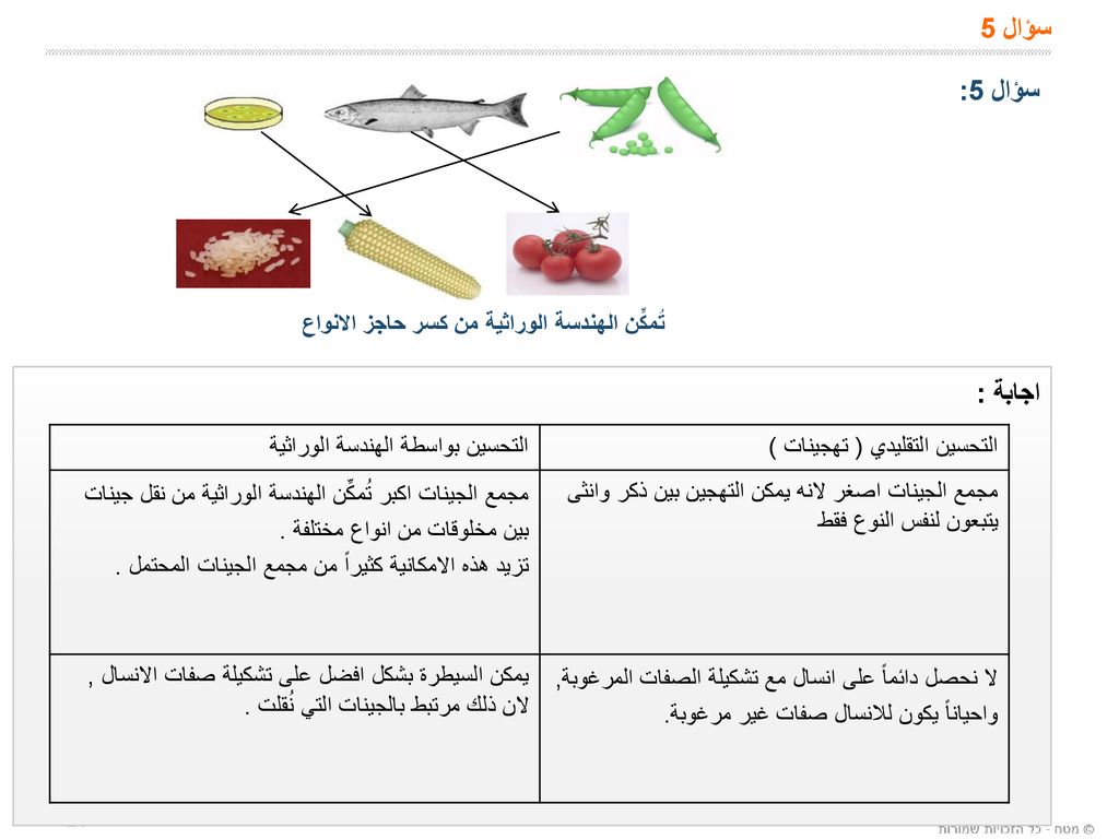 سؤال 5 سؤال 5: اجابة : تُمكِّن الهندسة الوراثية من كسر حاجز الانواع