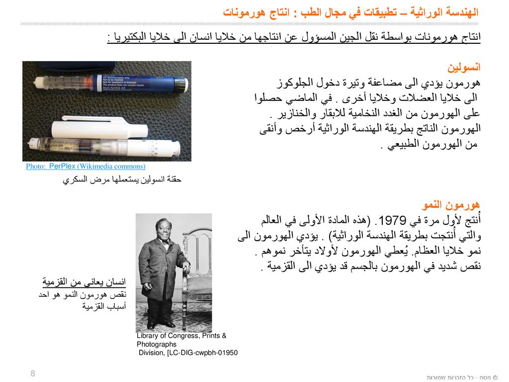 الهندسة الوراثية – تطبيقات في مجال الطب : انتاج هورمونات