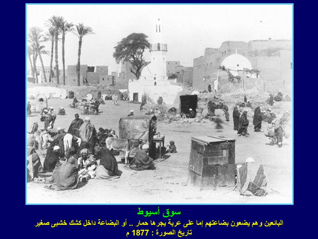 سوق أسيوط البائعين وهم يضعون بضاعتهم إما على عربة يجرها حمار ..