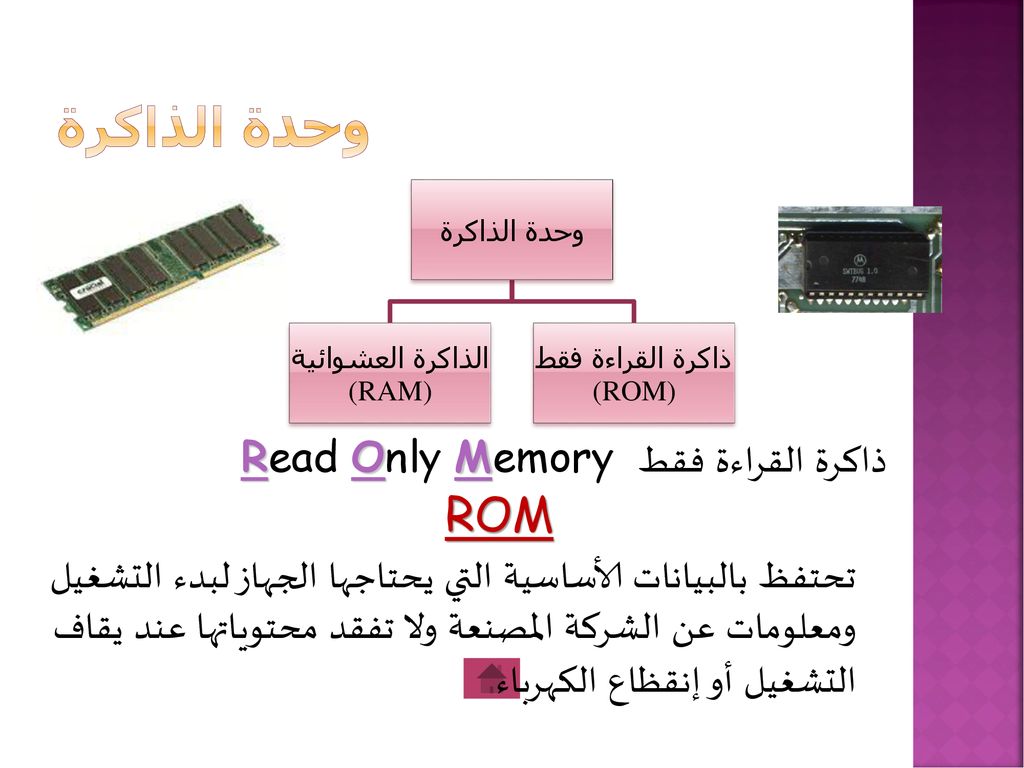 وحدة الذاكرة ذاكرة القراءة فقط Read Only Memory ROM