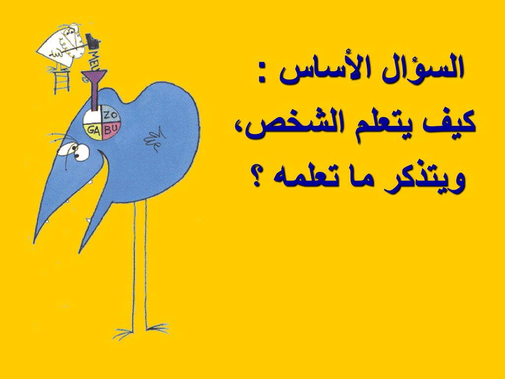 السؤال الأساس : كيف يتعلم الشخص، ويتذكر ما تعلمه ؟