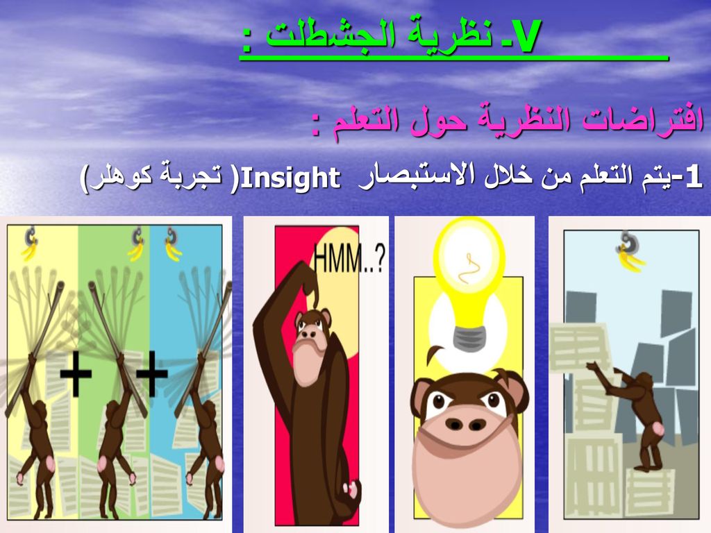 V ـ نظرية الجشطلت : افتراضات النظرية حول التعلم :