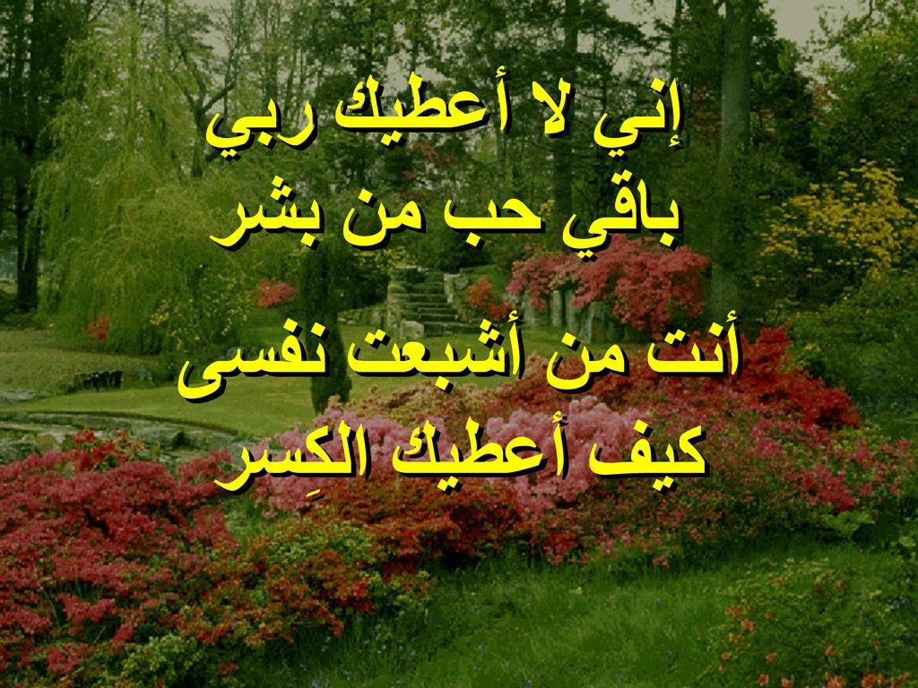 إني لا أعطيك ربي باقي حب من بشر أنت من أشبعت نفسى كيف أعطيك الكِسر
