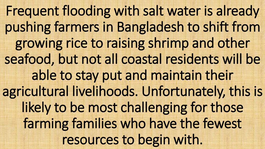 Frequent flooding with salt water is already pushing farmers in Bangladesh to shift from growing rice to raising shrimp and other seafood, but not all coastal residents will be able to stay put and maintain their agricultural livelihoods.