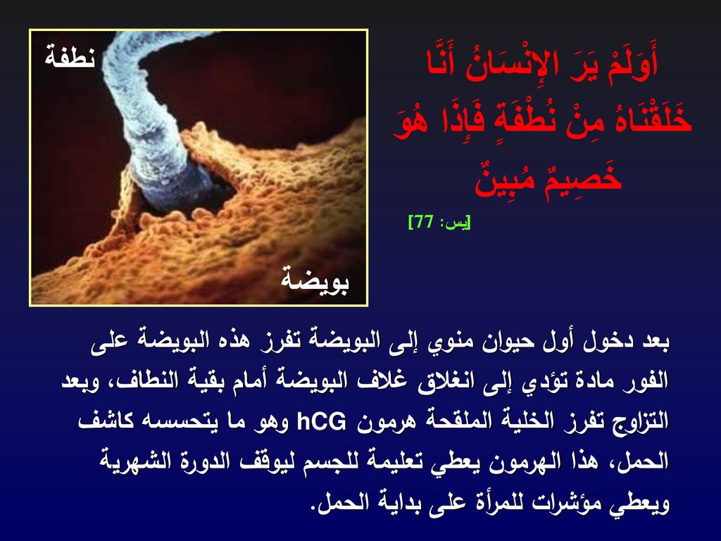 أَوَلَمْ يَرَ الإِنْسَانُ أَنَّا خَلَقْنَاهُ مِنْ نُطْفَةٍ فَإِذَا هُوَ خَصِيمٌ مُبِينٌ