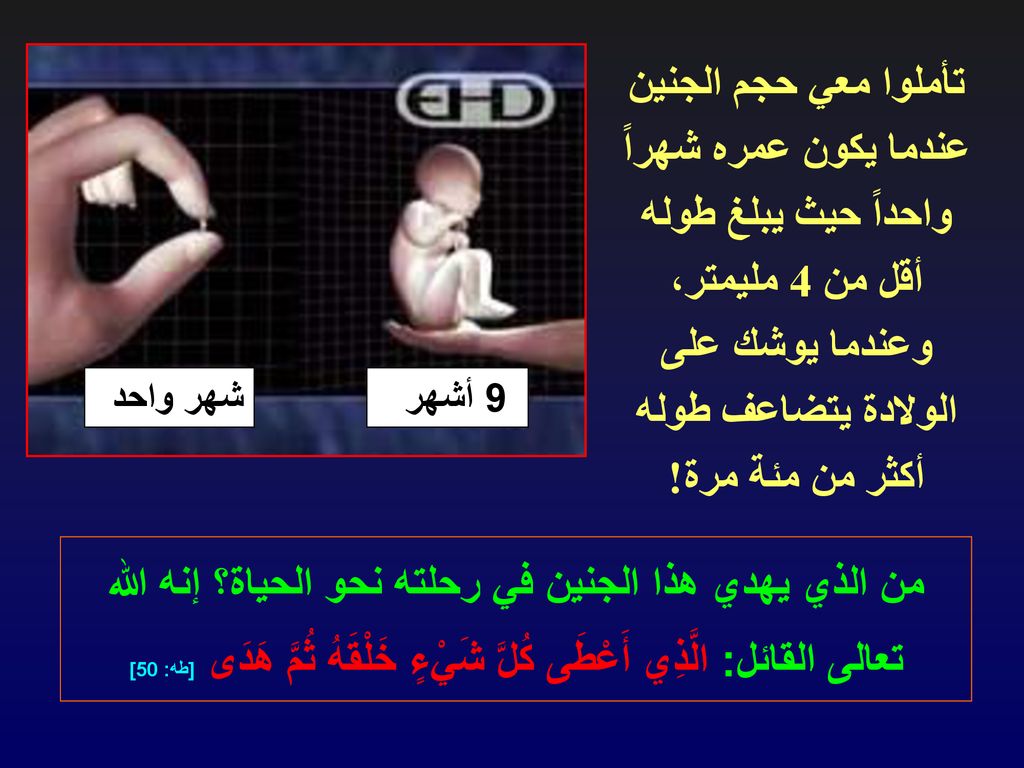 تأملوا معي حجم الجنين عندما يكون عمره شهراً واحداً حيث يبلغ طوله أقل من 4 مليمتر، وعندما يوشك على الولادة يتضاعف طوله أكثر من مئة مرة!