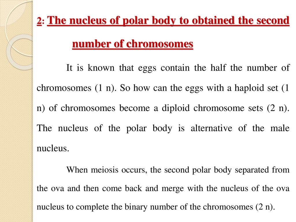 2: The nucleus of polar body to obtained the second number of chromosomes