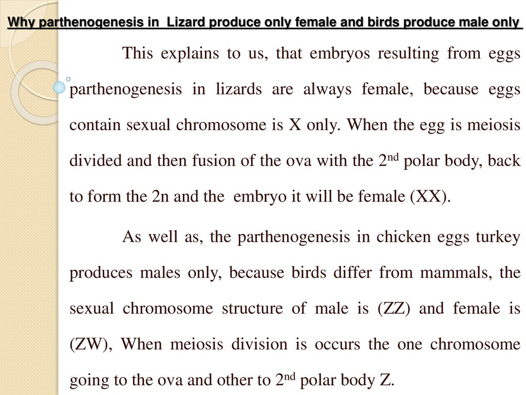 Why parthenogenesis in Lizard produce only female and birds produce male only