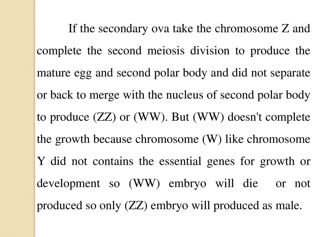 If the secondary ova take the chromosome Z and complete the second meiosis division to produce the mature egg and second polar body and did not separate or back to merge with the nucleus of second polar body to produce (ZZ) or (WW).