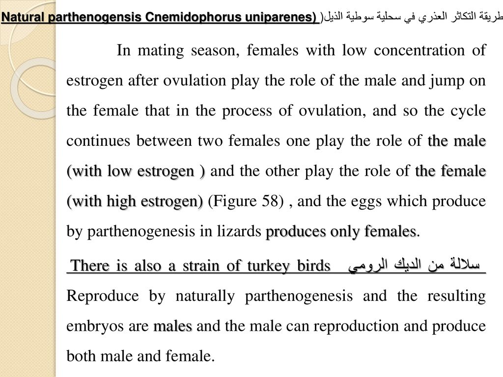 طريقة التكاثر العذري في سحلية سوطية الذيل(Natural parthenogensis Cnemidophorus uniparenes)