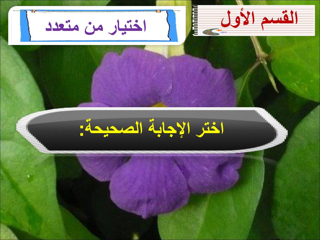 اختر الإجابة الصحيحة أ ب ج د