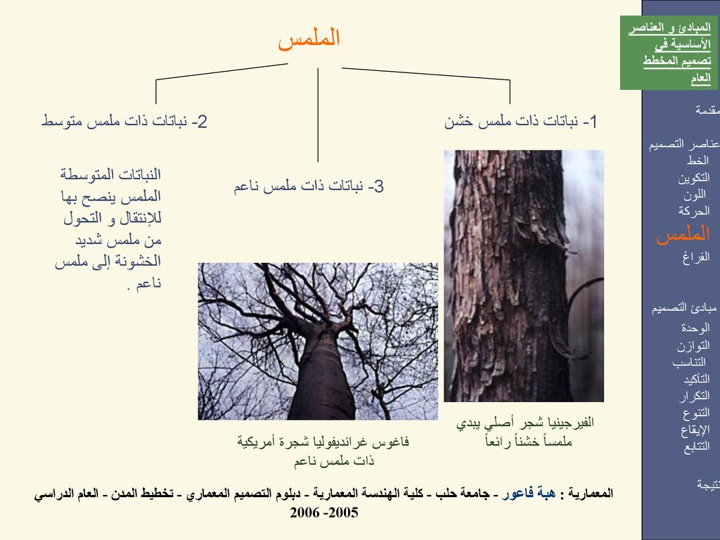 الملمس الملمس 1- نباتات ذات ملمس خشن 2- نباتات ذات ملمس متوسط