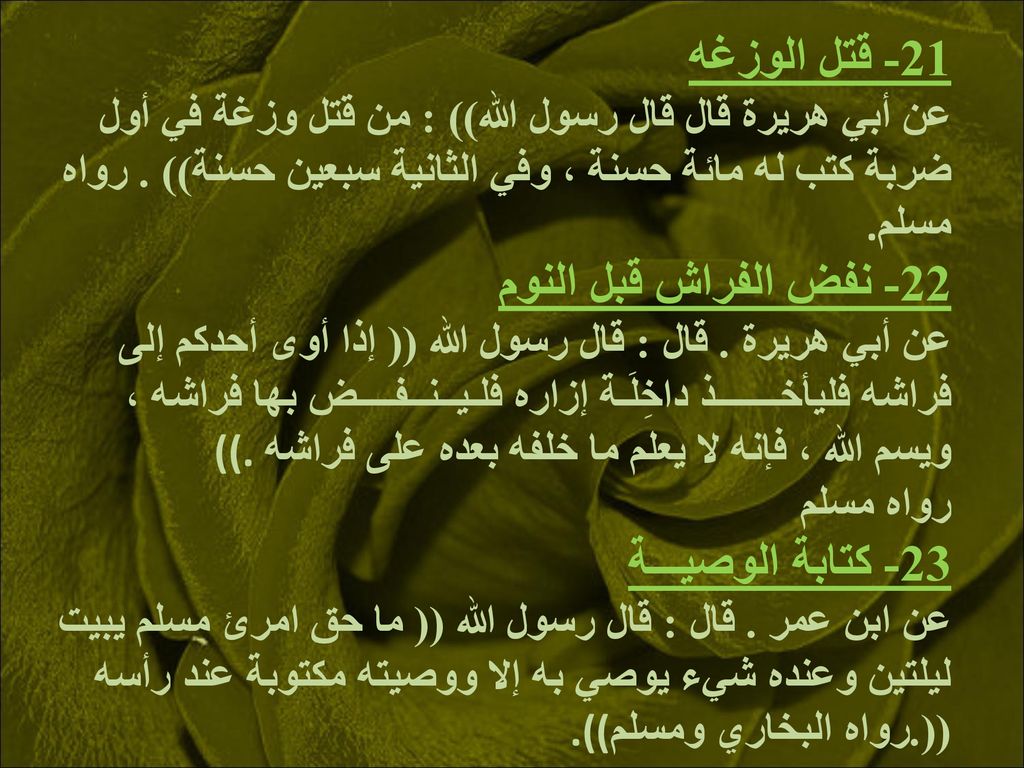 21- قتل الوزغه عن أبي هريرة قال قال رسول الله)) : من قتل وزغة في أول ضربة كتب له مائة حسنة ، وفي الثانية سبعين حسنة)) .