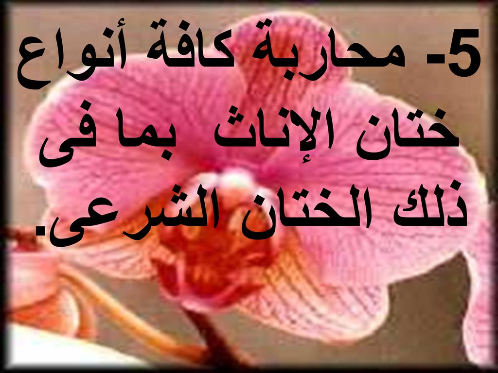 5- محاربة كافة أنواع ختان الإناث بما فى ذلك الختان الشرعى.