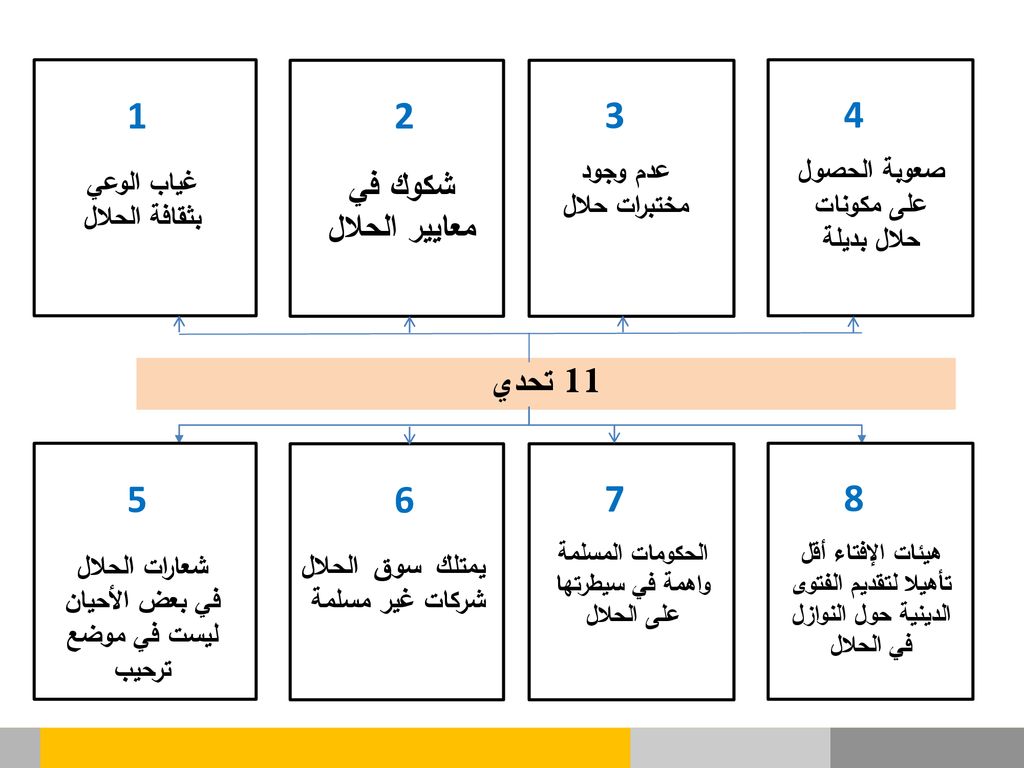 شكوك في معايير الحلال 11 تحدي غياب الوعي بثقافة الحلال