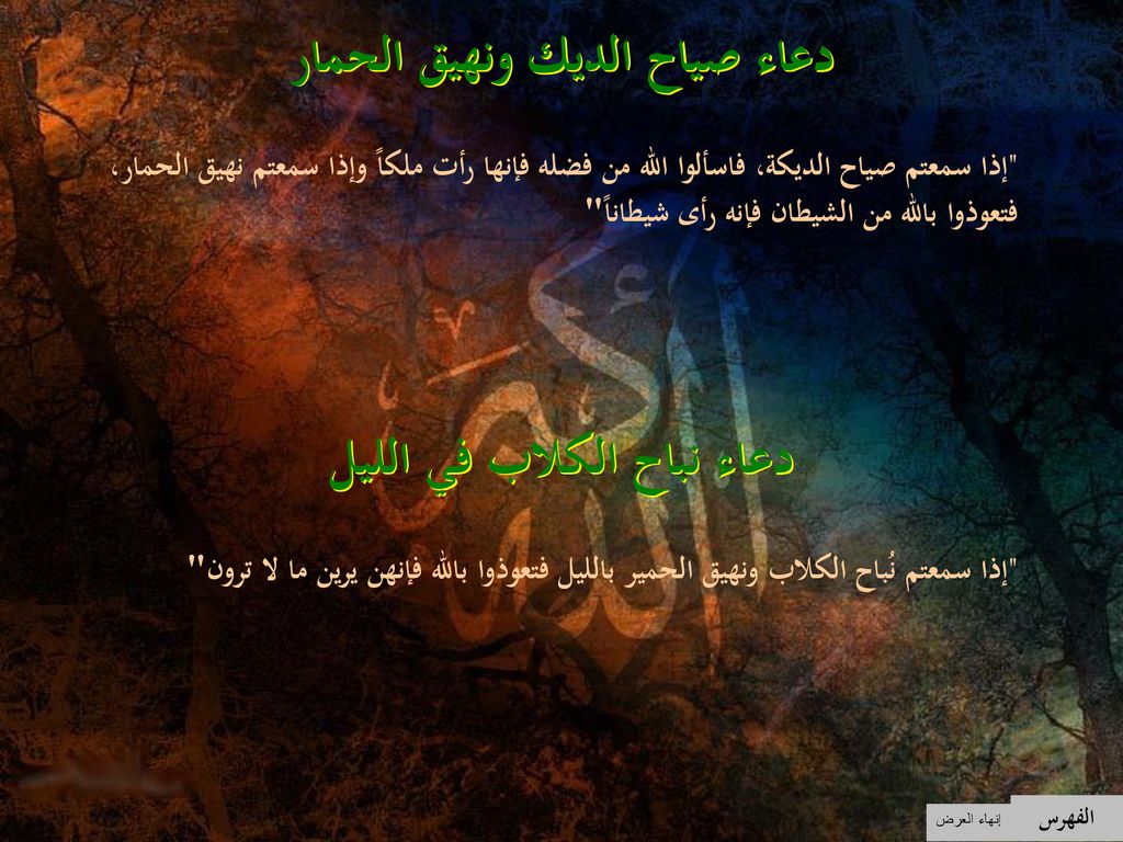 دعاء صياح الديك ونهيق الحمار دعاء نباح الكلاب في الليل