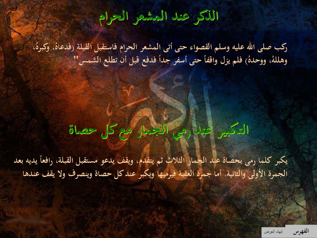 الذكر عند المشعر الحرام التكبير عند رمي الجمار مع كل حصاة