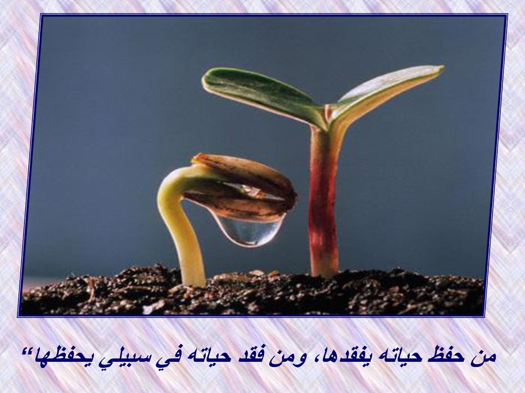 من حفظ حياته يفقدها، ومن فقد حياته في سبيلي يحفظها