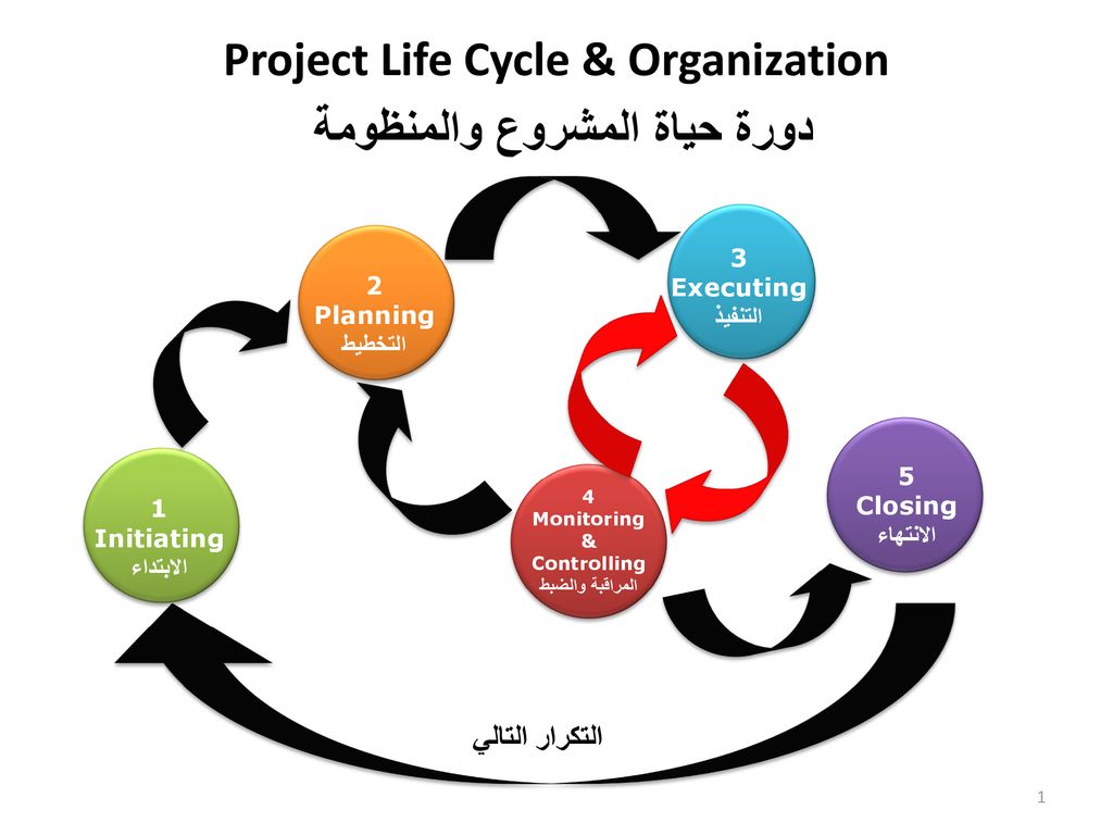 Project Life Cycle & Organization دورة حياة المشروع والمنظومة
