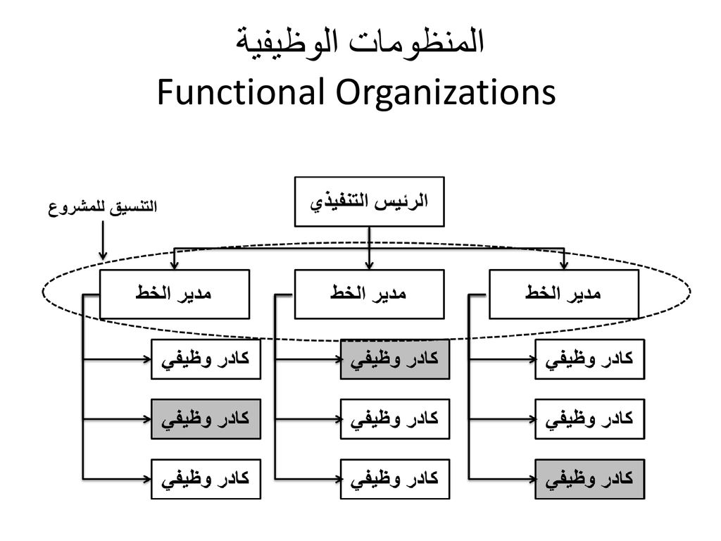 المنظومات الوظيفية Functional Organizations