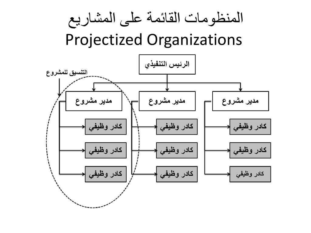 المنظومات القائمة على المشاريع Projectized Organizations