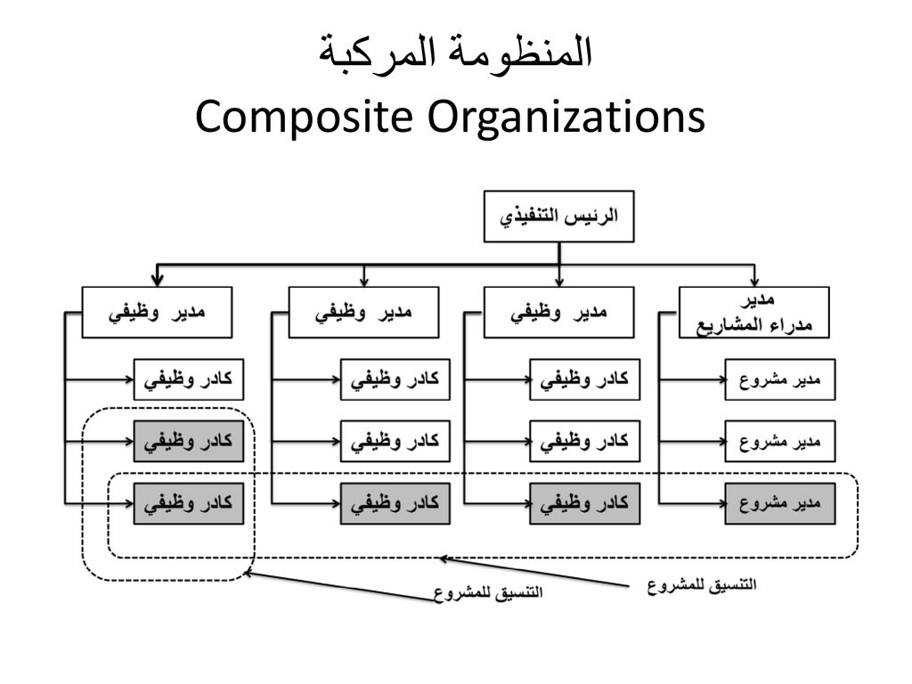 المنظومة المركبة Composite Organizations