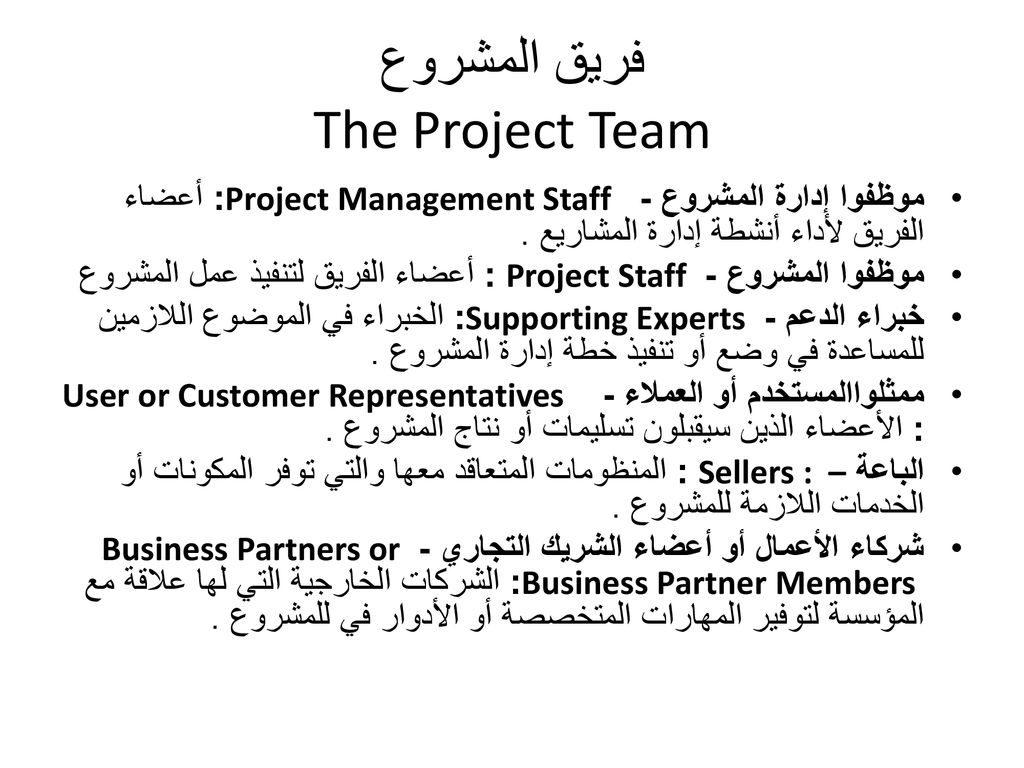 فريق المشروع The Project Team