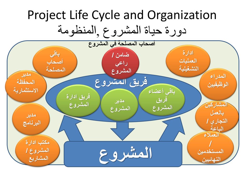 Project Life Cycle and Organization دورة حياة المشروع ,المنظومة