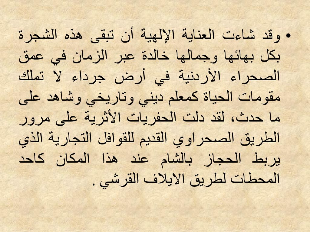 وقد شاءت العناية الإلهية أن تبقى هذه الشجرة بكل بهائها وجمالها خالدة عبر الزمان في عمق الصحراء الأردنية في أرض جرداء لا تملك مقومات الحياة كمعلم ديني وتاريخي وشاهد على ما حدث، لقد دلت الحفريات الأثرية على مرور الطريق الصحراوي القديم للقوافل التجارية الذي يربط الحجاز بالشام عند هذا المكان كاحد المحطات لطريق الايلاف القرشي.