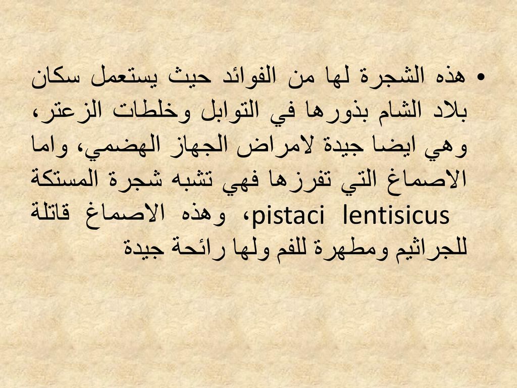 هذه الشجرة لها من الفوائد حيث يستعمل سكان بلاد الشام بذورها في التوابل وخلطات الزعتر، وهي ايضا جيدة لامراض الجهاز الهضمي، واما الاصماغ التي تفرزها فهي تشبه شجرة المستكة pistaci lentisicus ، وهذه الاصماغ قاتلة للجراثيم ومطهرة للفم ولها رائحة جيدة