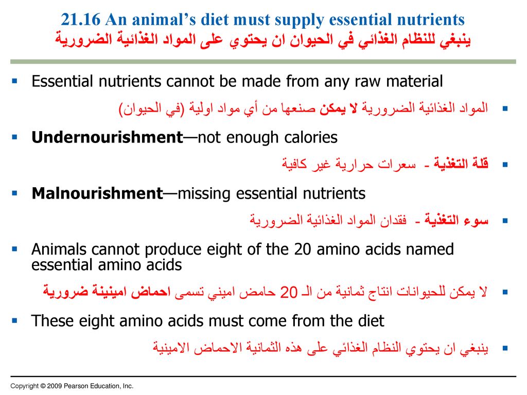 21.16 An animal’s diet must supply essential nutrients ينبغي للنظام الغذائي في الحيوان ان يحتوي على المواد الغذائية الضرورية