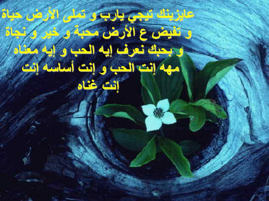 عايزينك تيجي يارب و تملى الأرض حياة و تفيض ع الأرض محبة و خير و نجاة و بحبك نعرف إيه الحب و إيه معناه مهه إنت الحب و إنت أساسه إنت إنت غناه