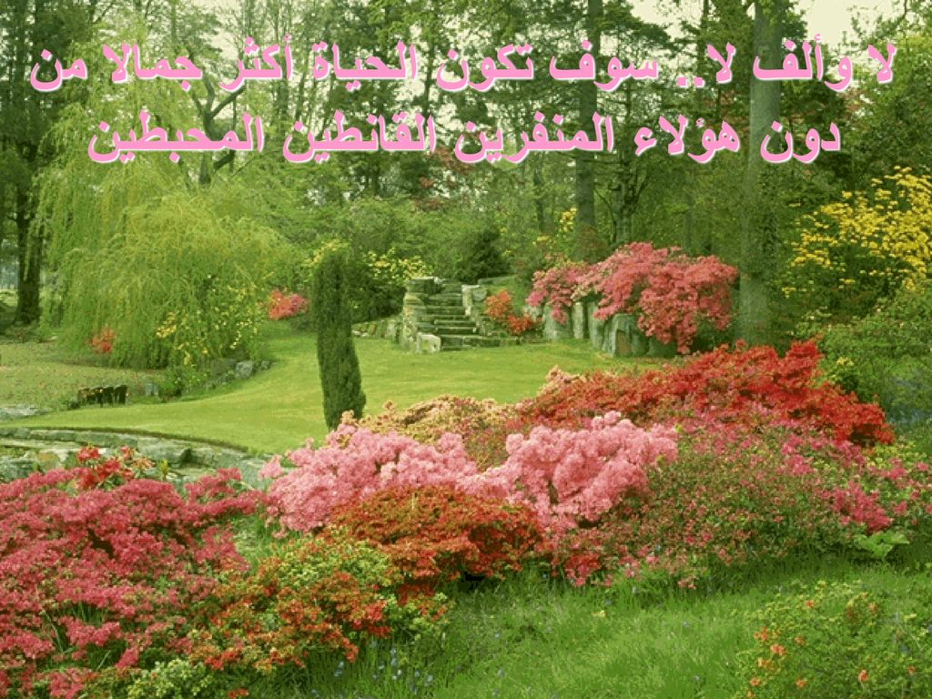 لا وألف لا.. سوف تكون الحياة أكثر جمالا من دون هؤلاء المنفرين القانطين المحبطين