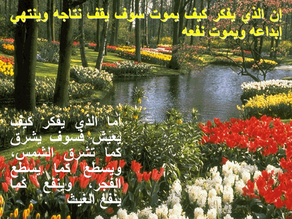 إن الذي يفكر كيف يموت سوف يقف نتاجه وينتهي إبداعه ويموت نفعه