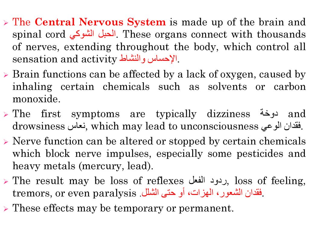 The Central Nervous System is made up of the brain and spinal cord الحبل الشوكي. These organs connect with thousands of nerves, extending throughout the body, which control all sensation and activity الإحساس والنشاط.